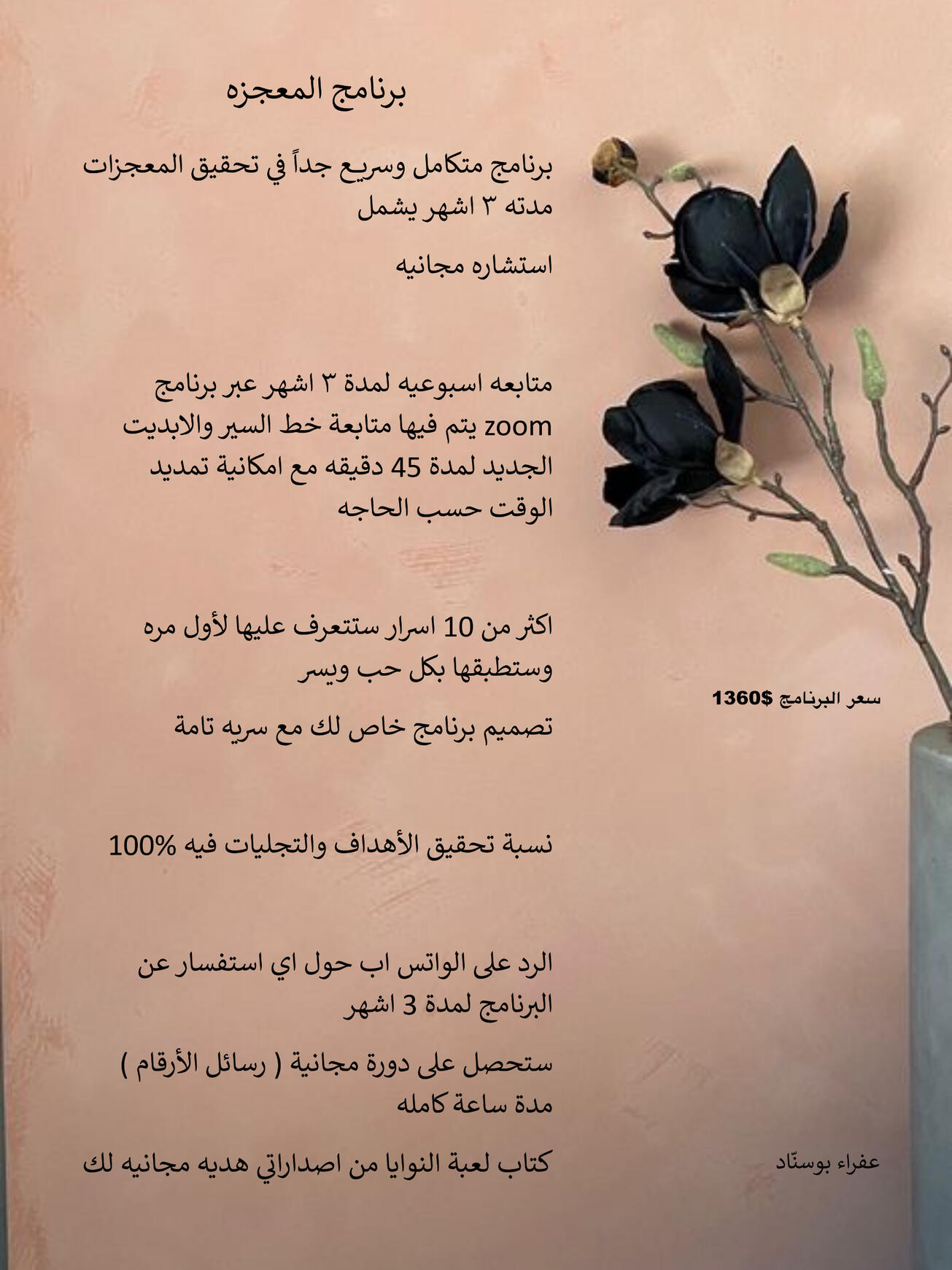 برنامج المعجزة